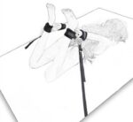 lien et menottes bed restraint 2