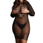 long sleeve fishnet dress