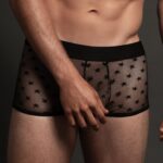 luca star boxer black