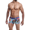 malebasics hipster trunk multicolor 2