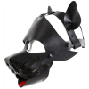 masque dog pup noir 1