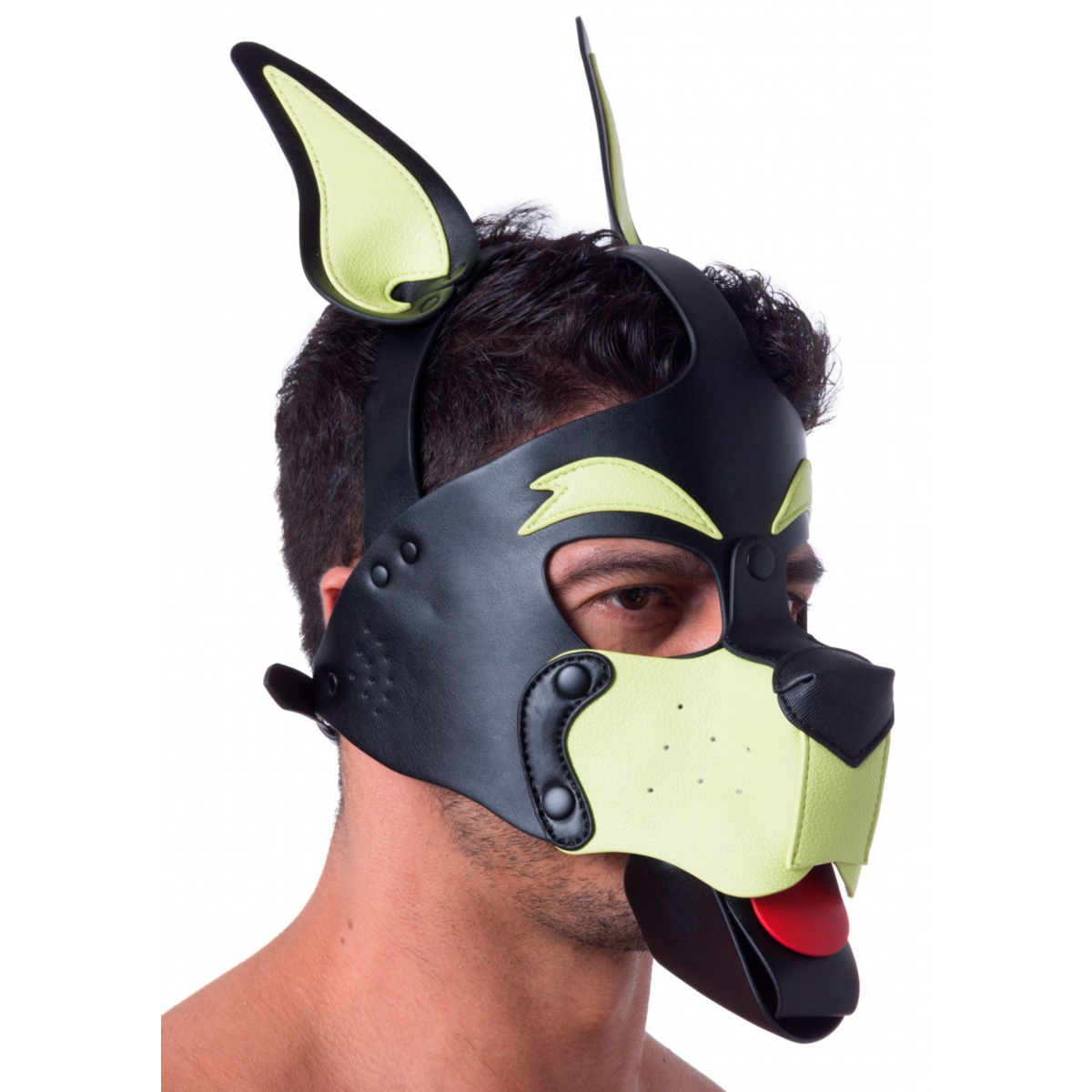 masque puppy 665 jaunevert 1