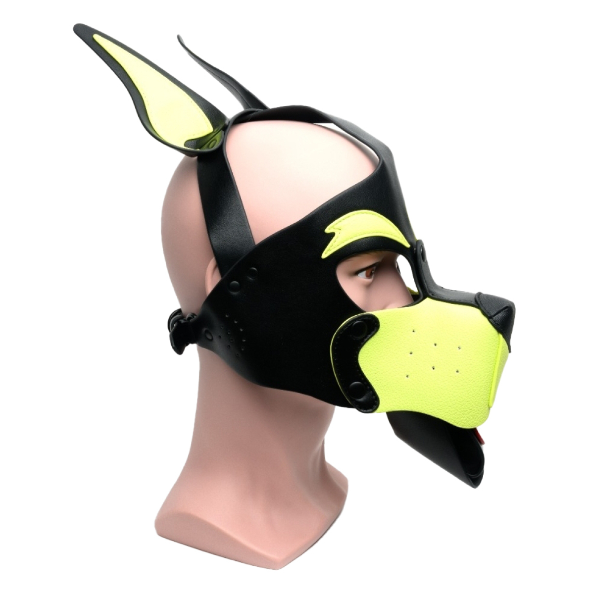 masque puppy 665 jaunevert 3