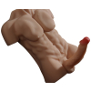 masturbateur buste et penis articule torso man sexe de 20cm 2