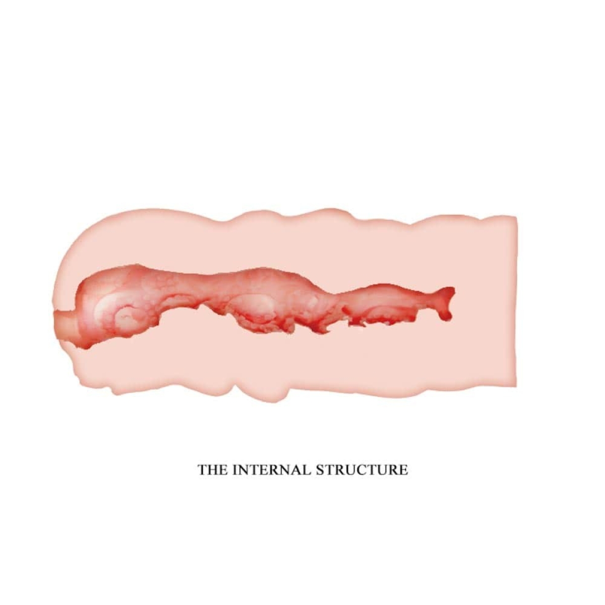 masturbateur crazy bull isabel 13 cm 4