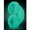 masturbateur double delight glow phosphorescent vagin anus 2