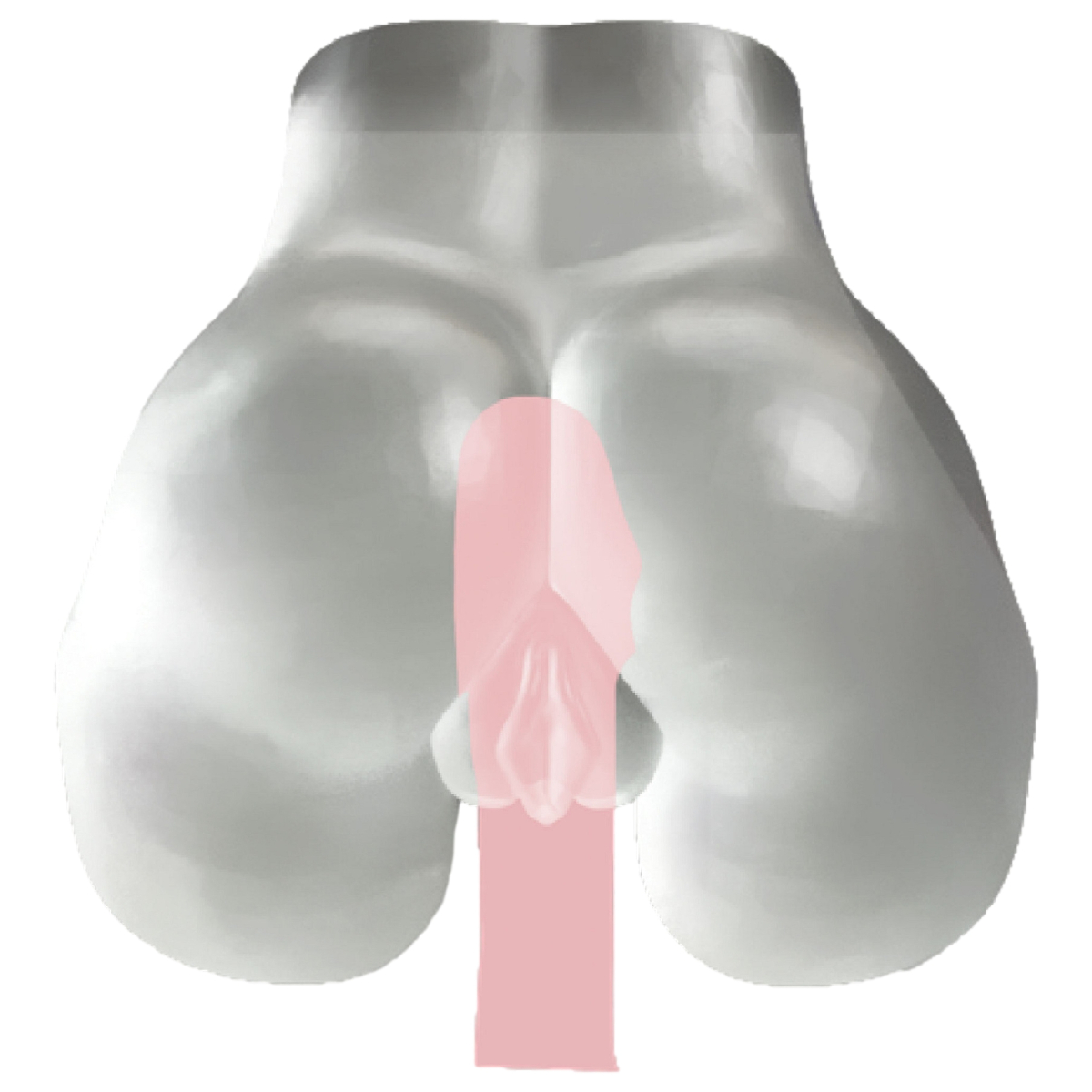 masturbateur fessier fucking pussy transparent 5