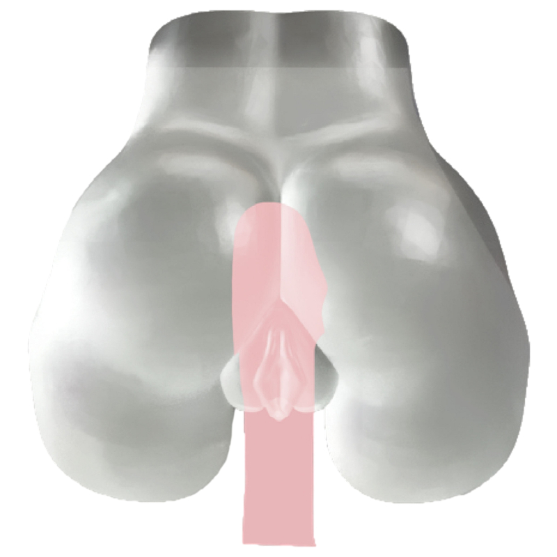 masturbateur fessier fucking pussy transparent 5