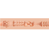 masturbateur fleshlight girls abella danger 6
