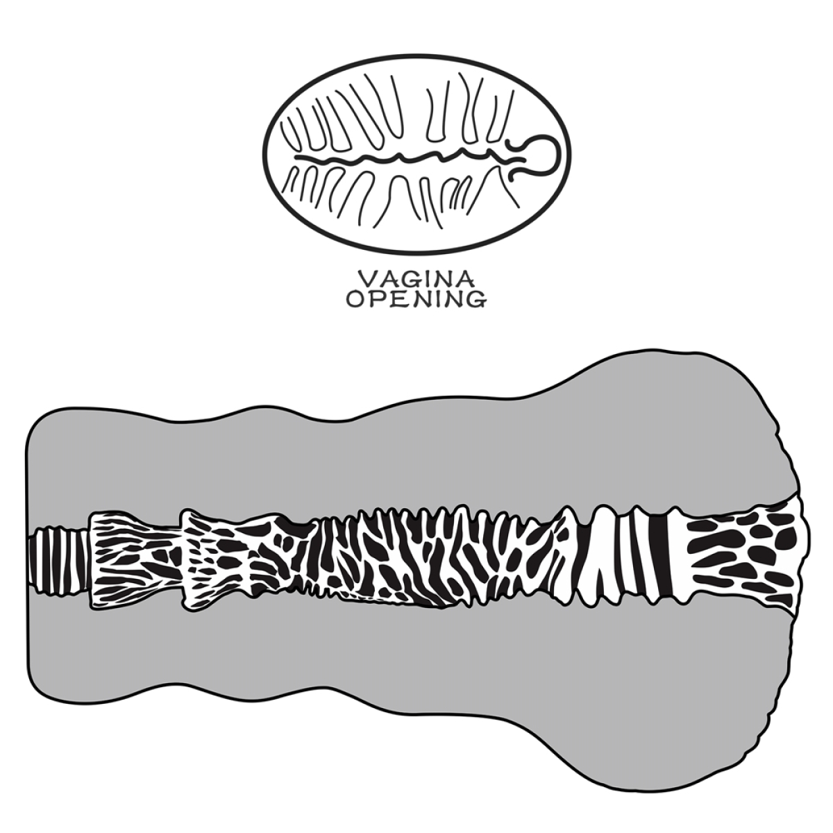 masturbateur pussy alien s pie n2 1