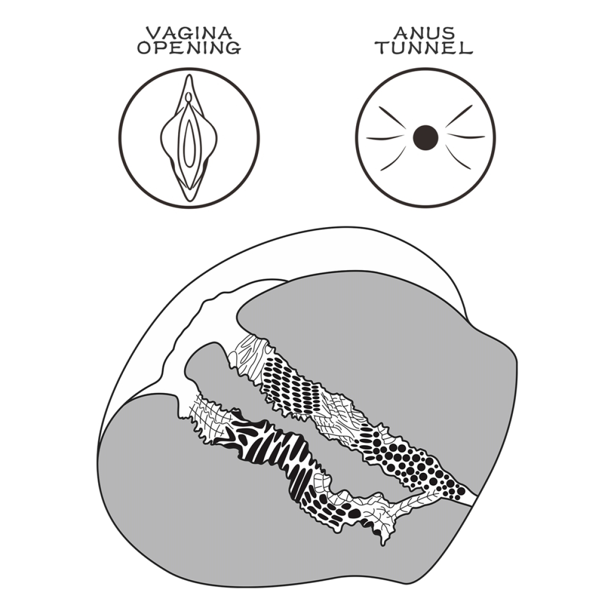 masturbateur pussy streetgirl n11 vagin anus 2