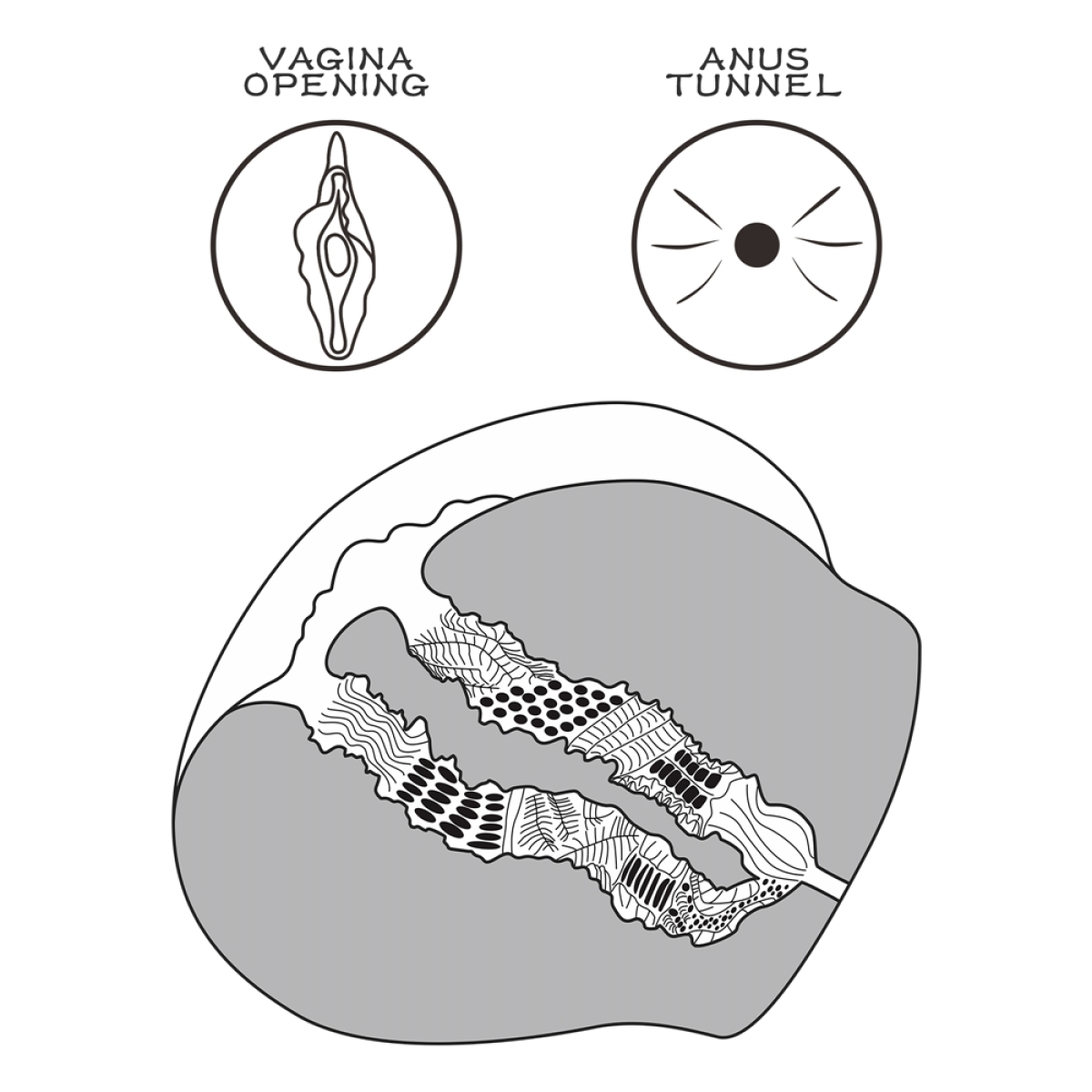 masturbateur pussy streetgirl n13 vagin anus 3