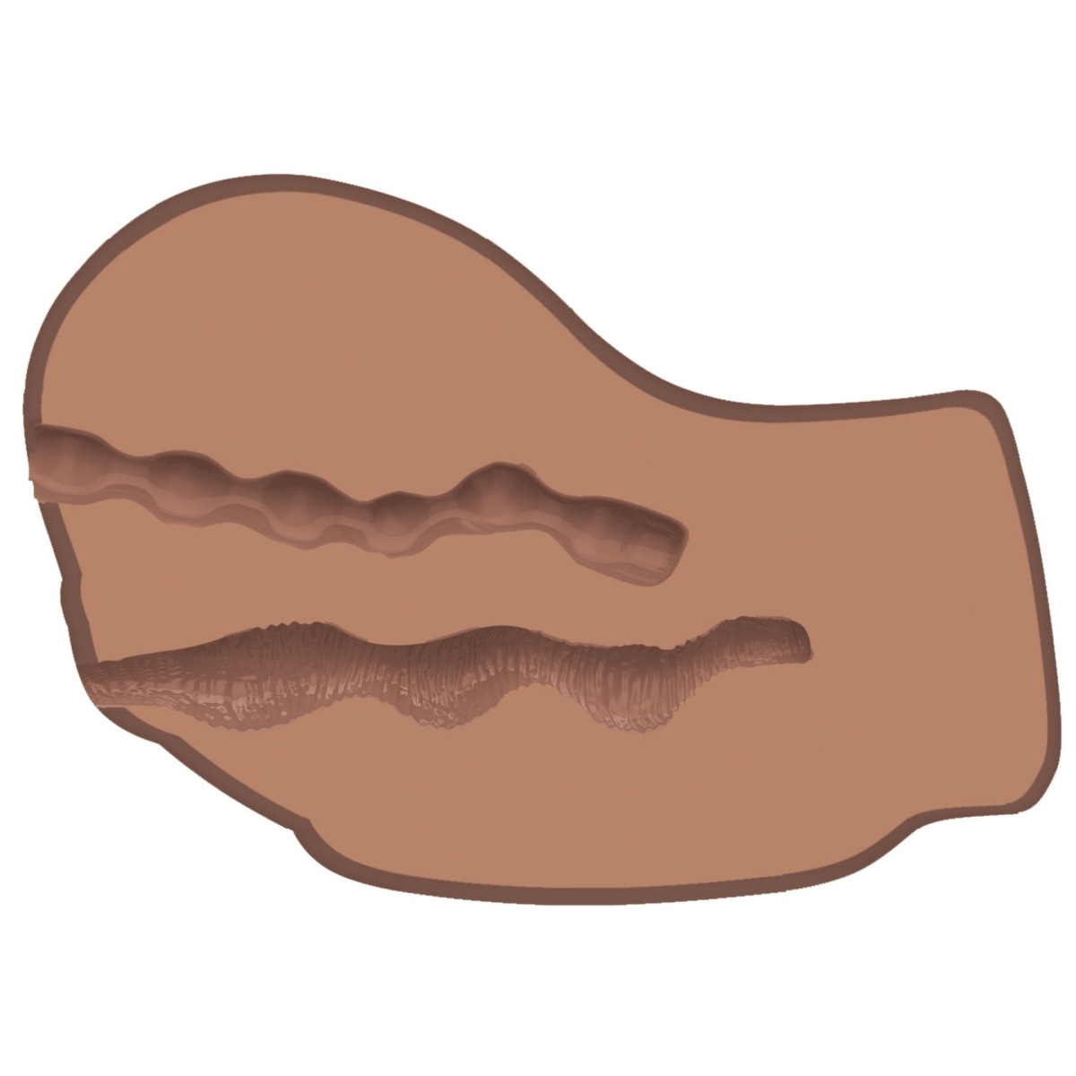 masturbateur realiste vibrant hot honey 2 entrees marron 5