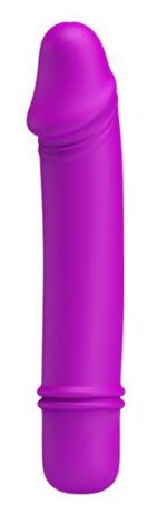 mini vibromasseur emily 10 x 22 cm