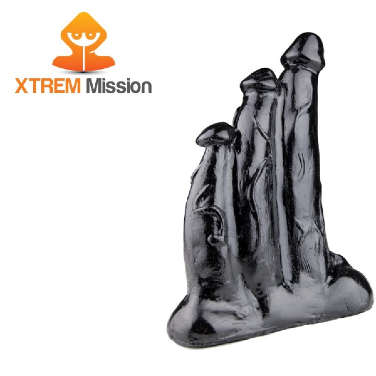 mission triplicate 22 x 14 cm 3