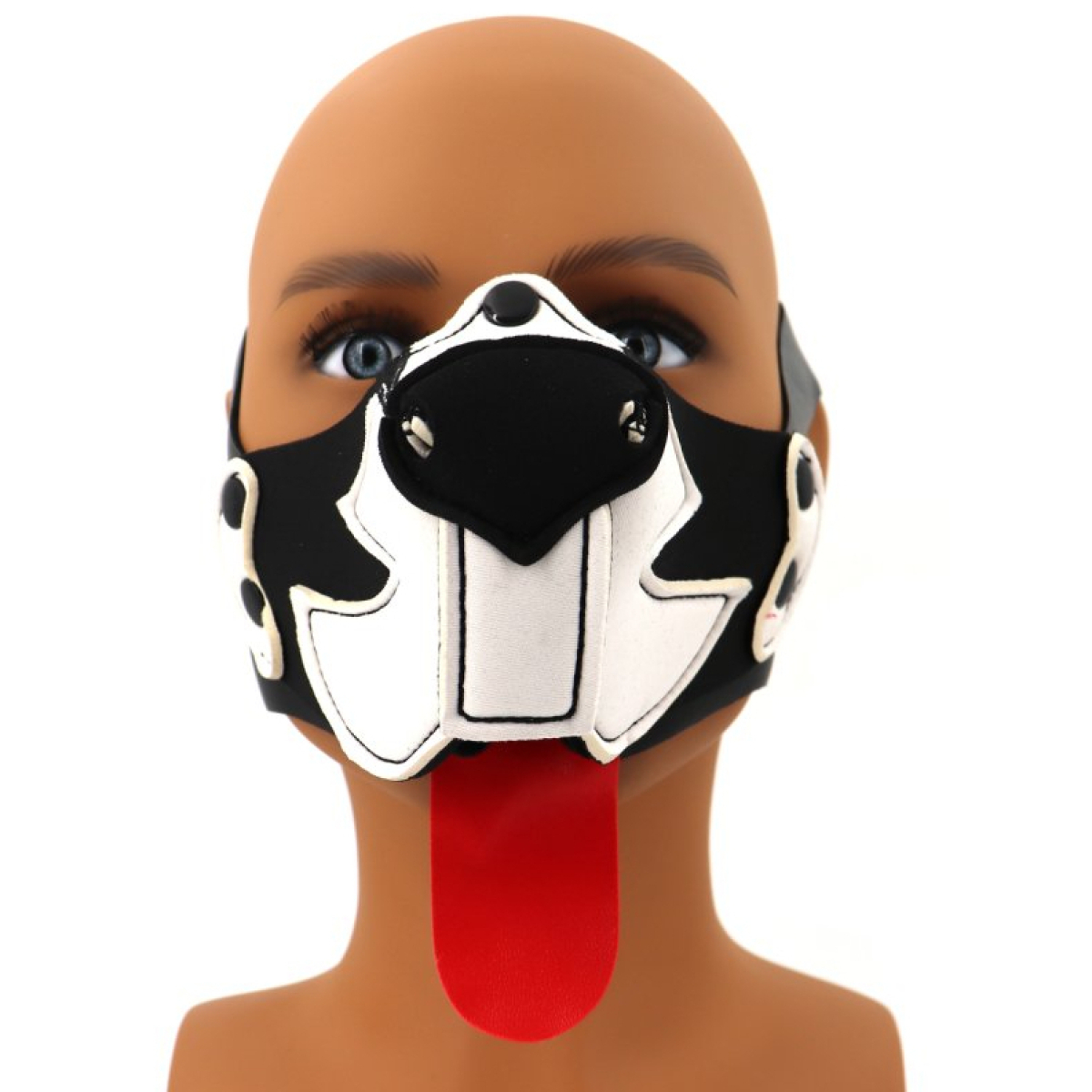 museau puppy muz noir blanc 1