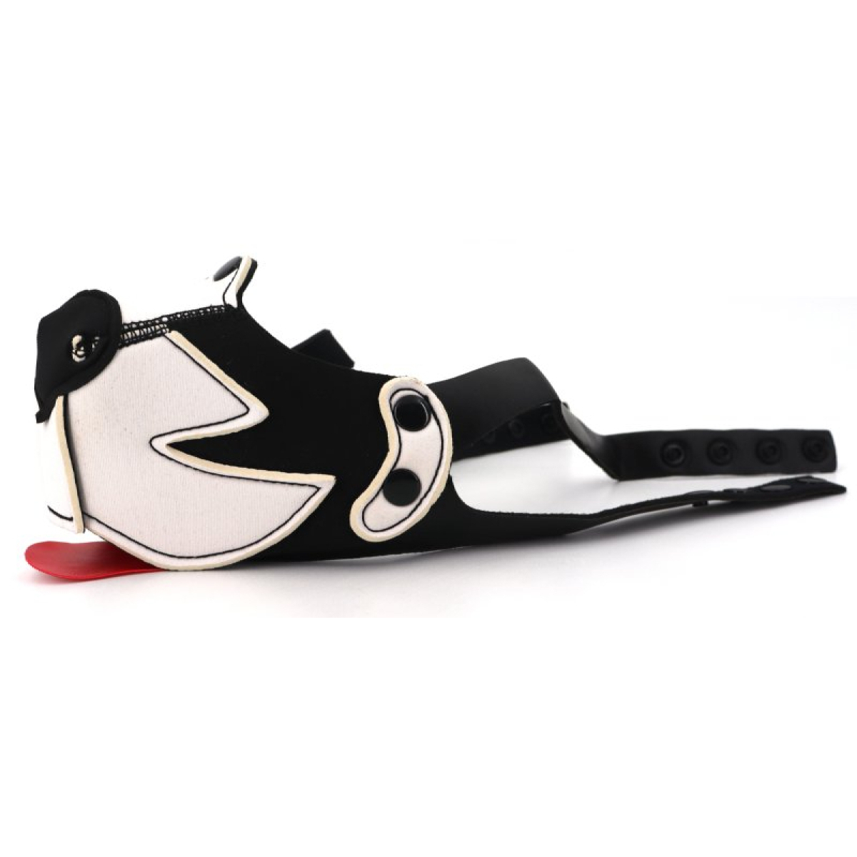 museau puppy muz noir blanc 3