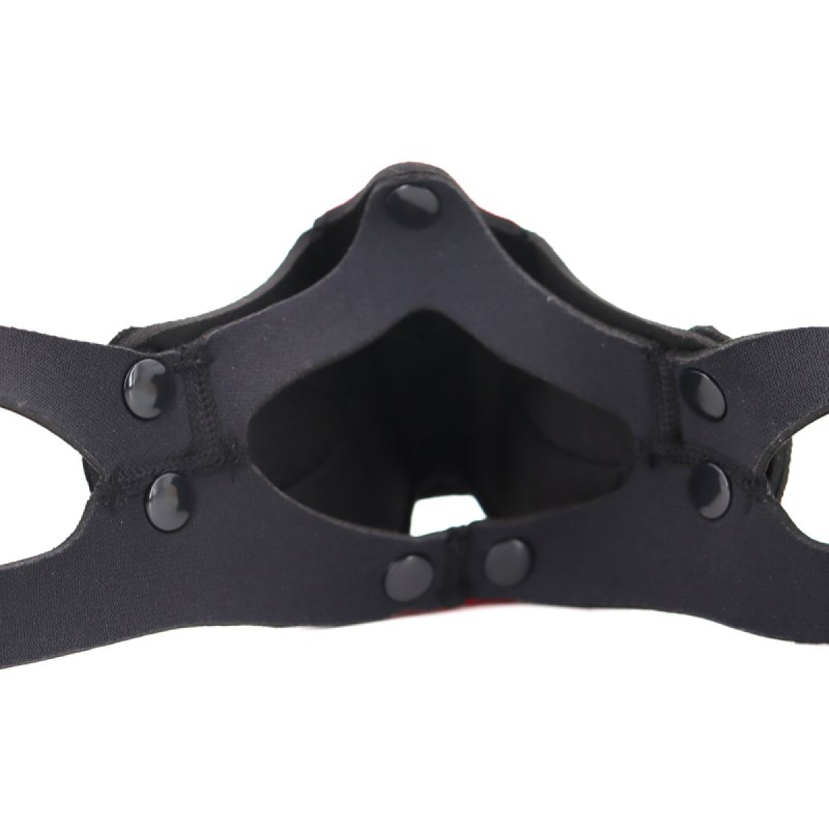 museau puppy muz noir blanc 4