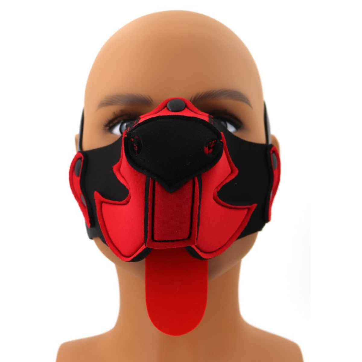 museau puppy muz noir rouge 1