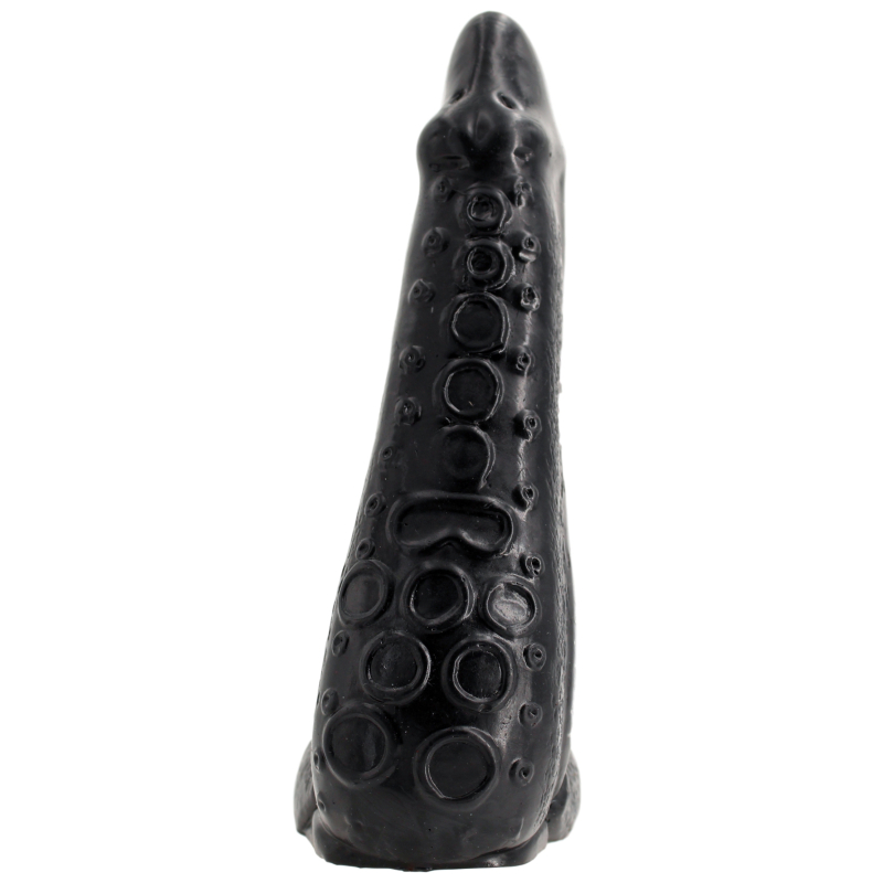 nautila 19 x 58 cm 1