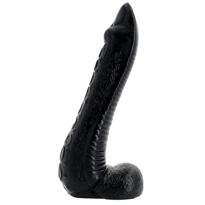 nautila 19 x 58 cm 2