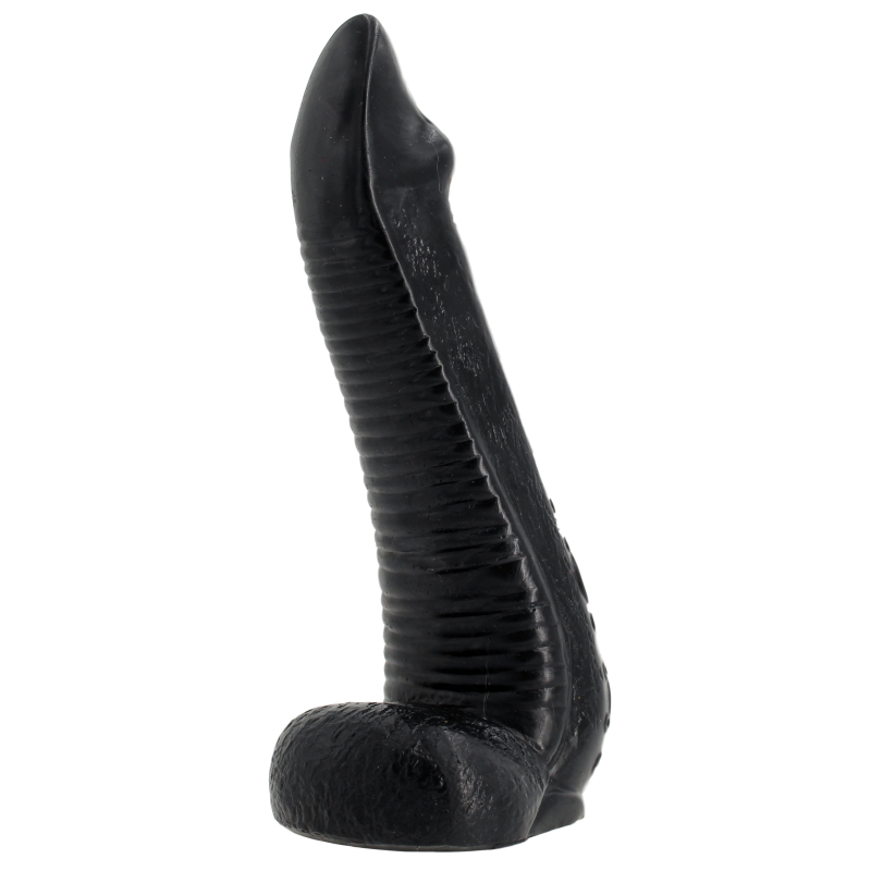 nautila 19 x 58 cm 3