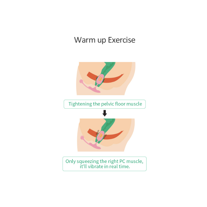 oeuf vaginal connecte kegel coach 6 x 3cm 10