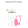 oeuf vaginal connecte kegel coach 6 x 3cm 12
