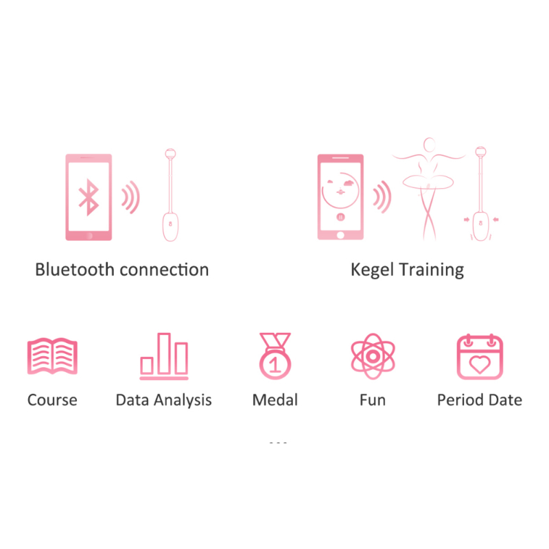 oeuf vaginal connecte kegel coach 6 x 3cm 8