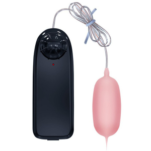 oeuf vibrant eleanora baile