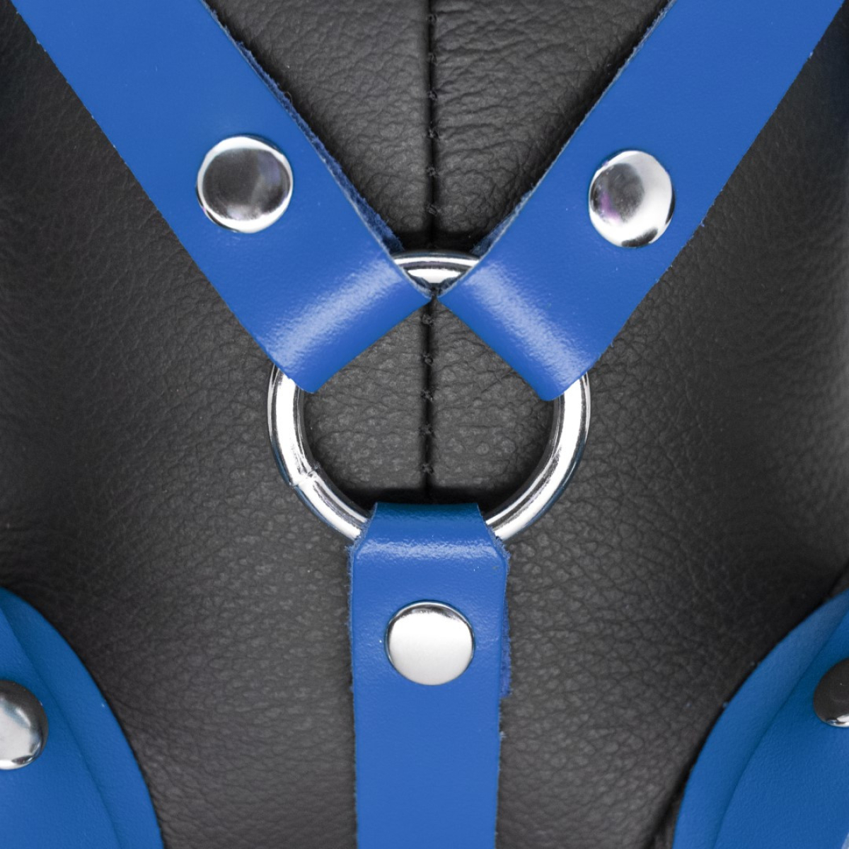 ours en cuir eddy the bdsm teddy bear bleu 2