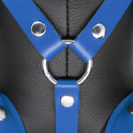 ours en cuir eddy the bdsm teddy bear bleu 2