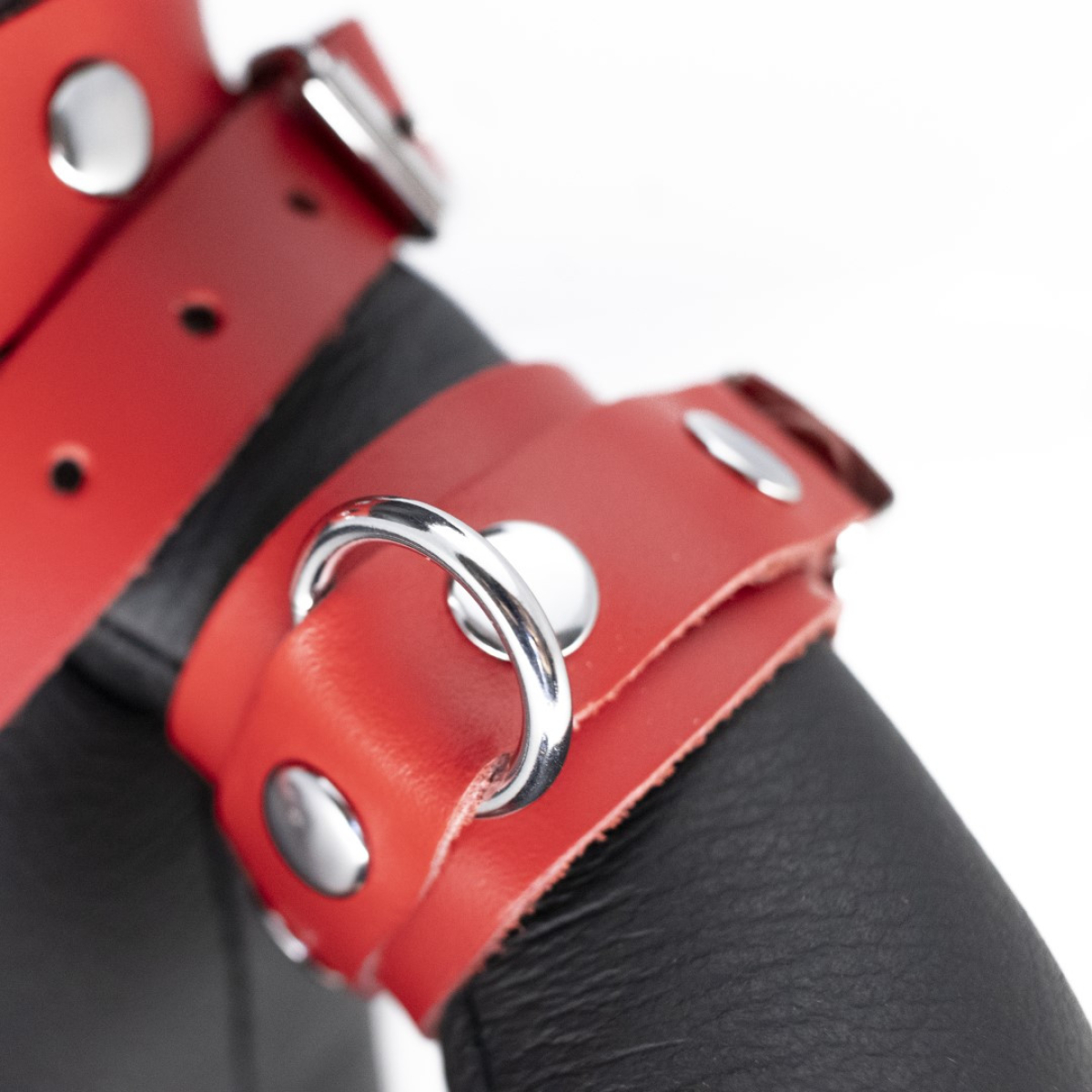 ours en cuir eddy the bdsm teddy bear rouge 2