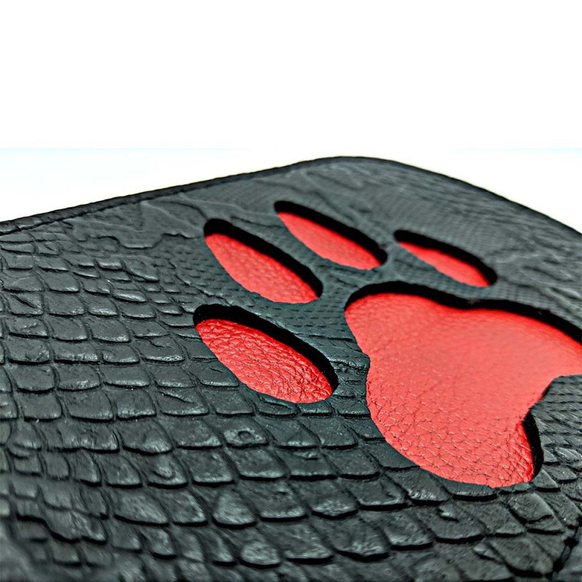 paddle puppy paw 1