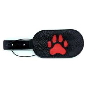 paddle puppy paw
