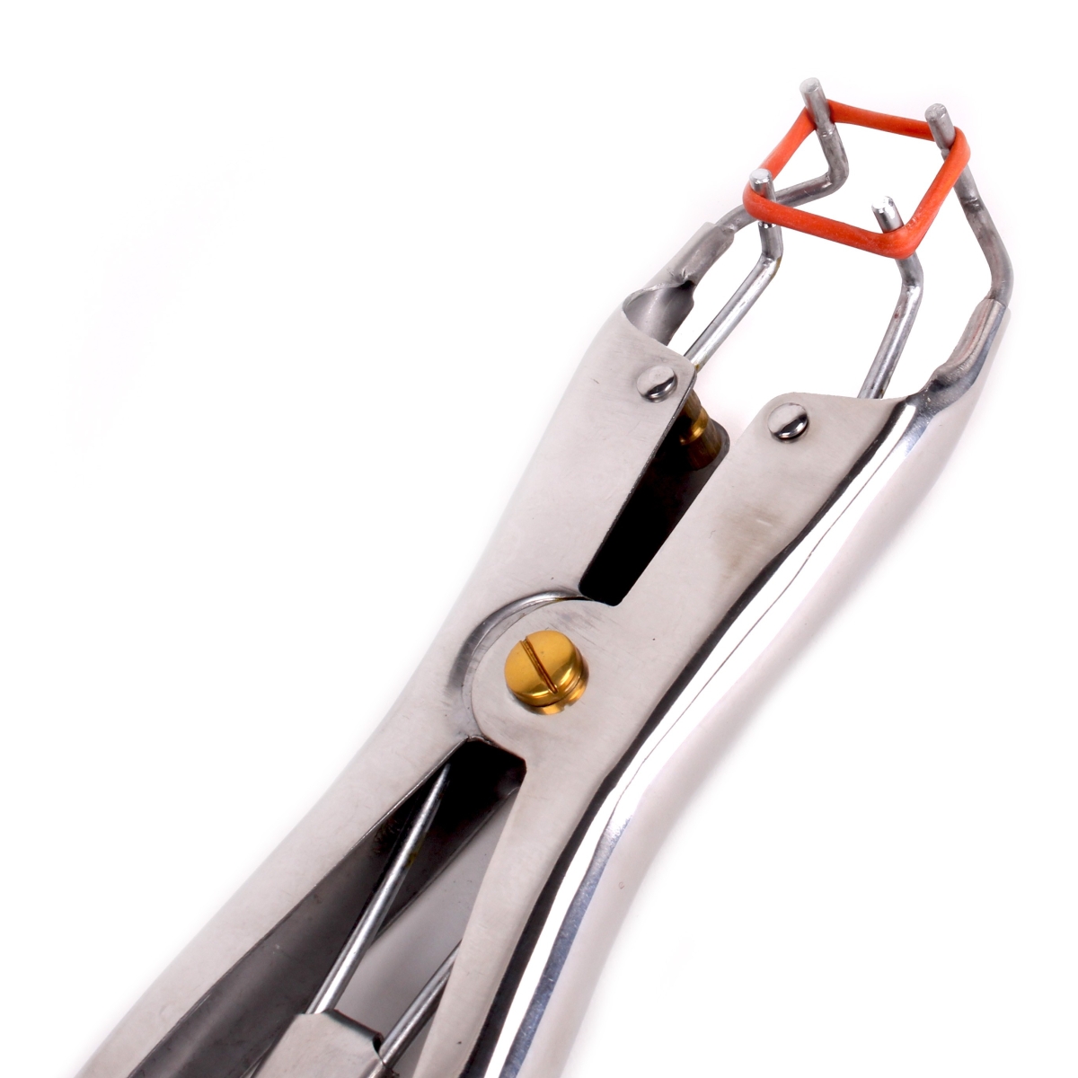 pince pour elastiques de torture 1 scaled