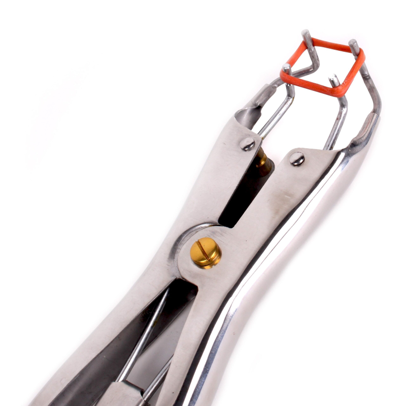 pince pour elastiques de torture 1 scaled