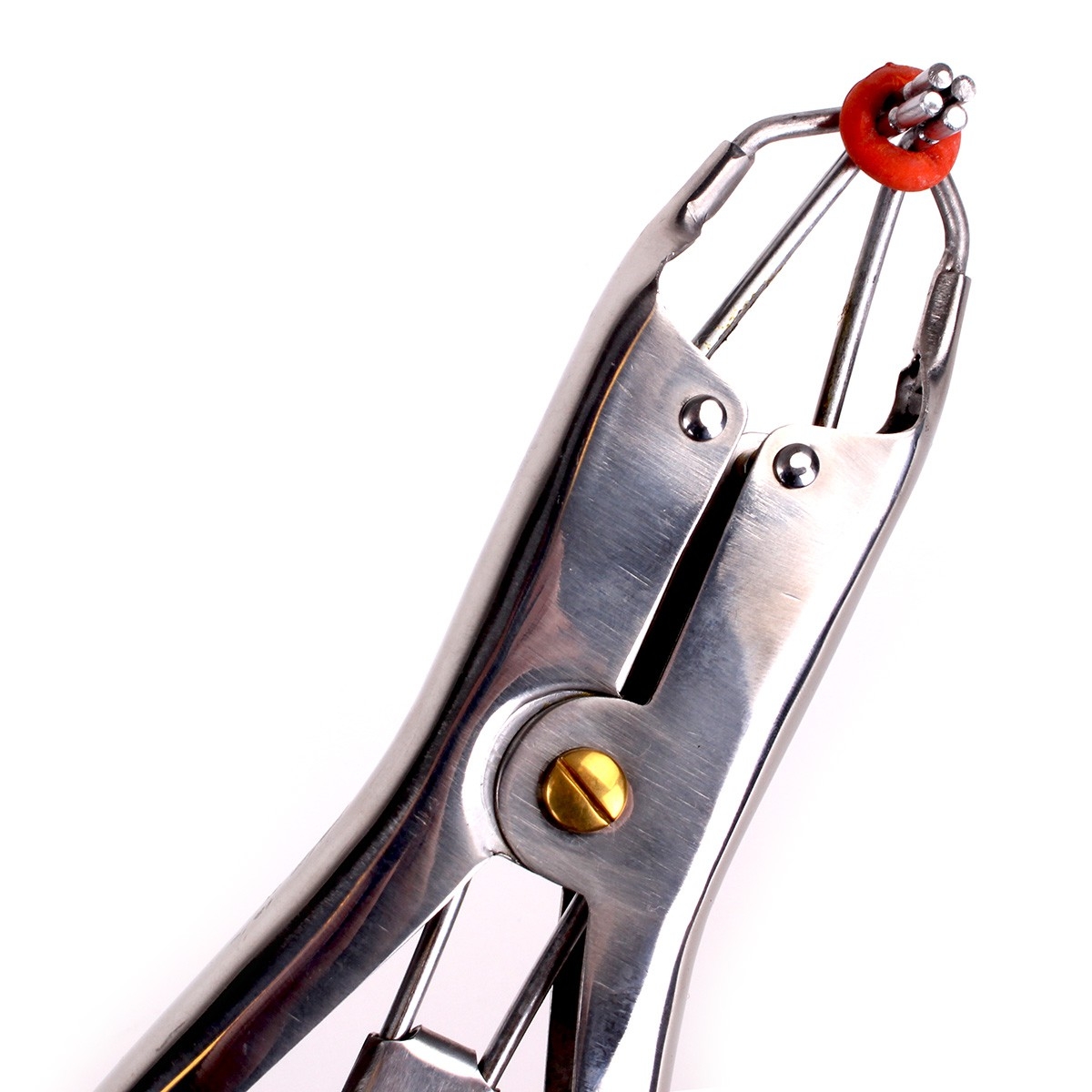 pince pour elastiques de torture 3