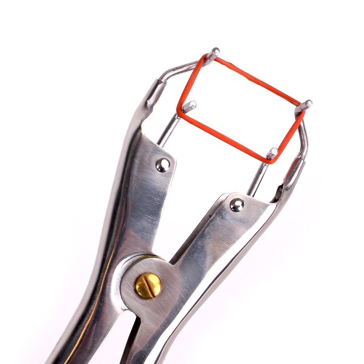 pince pour elastiques de torture 4
