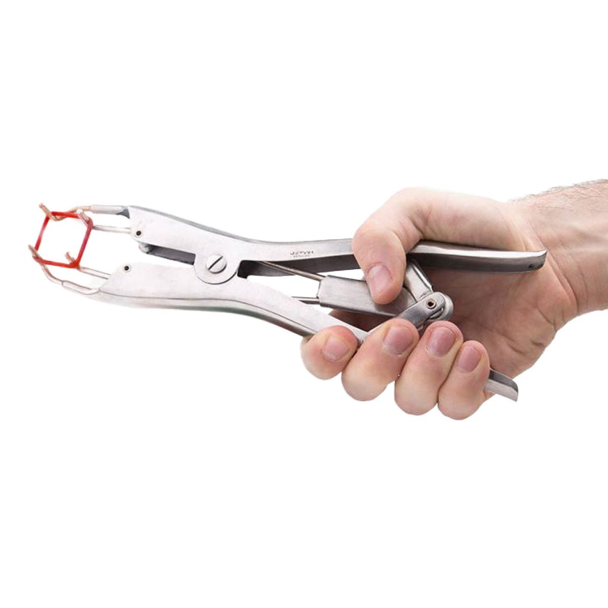 pince pour elastiques de torture elastratus