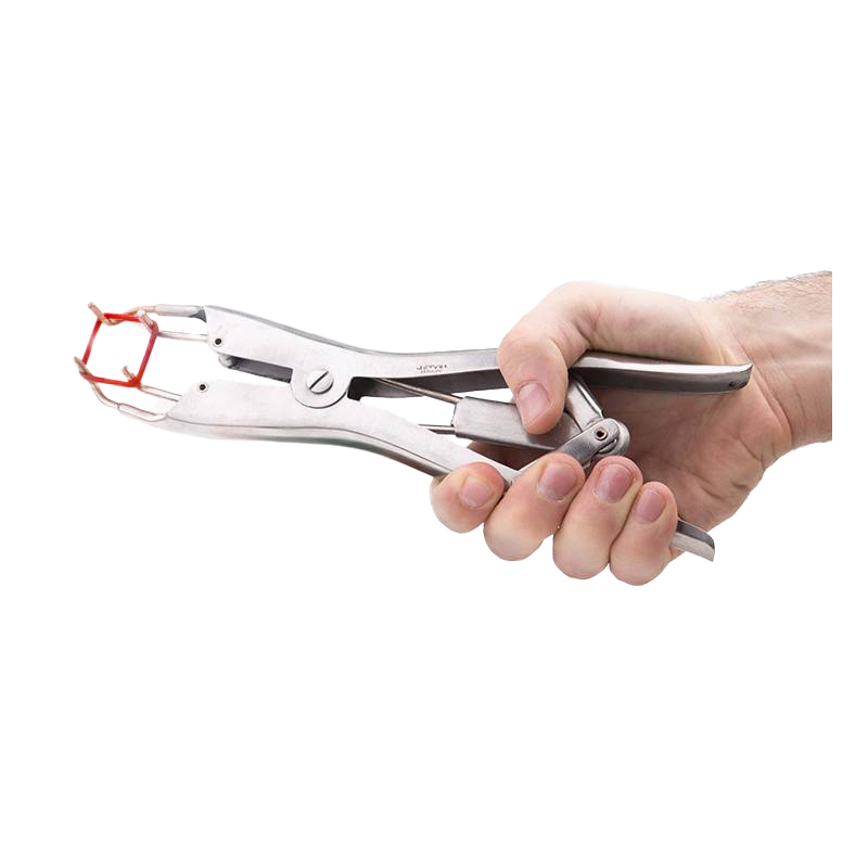 pince pour elastiques de torture elastratus