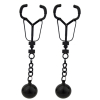 pinces pour les tetons tororbs 58gr x2