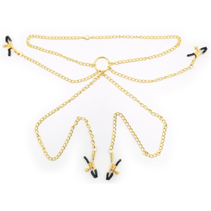 pinces pour tetons et zones intimes nipple quattuor dore
