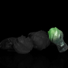plug bulluk s 65 x 4 cm vert 3