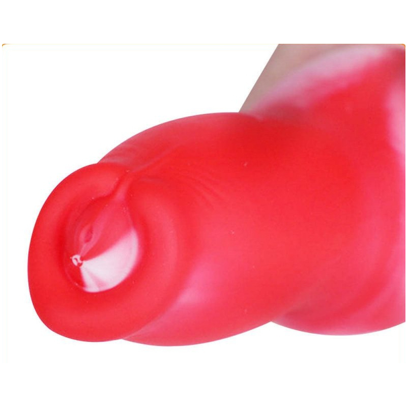 plug queue dog dick l 19 x 63cm 5