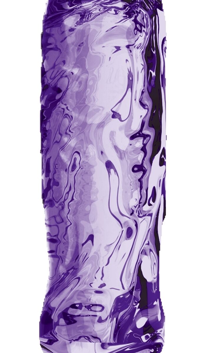plug realiste anal starter 13 x 3cm violet