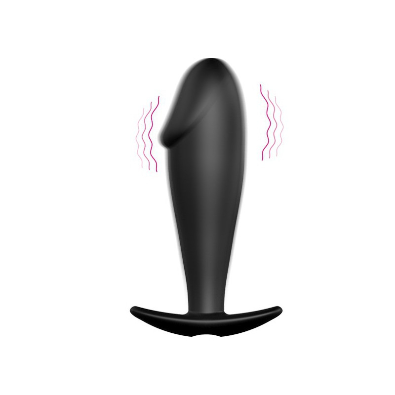 plug vibrant penz 12 fonctions 10 x 3cm 2