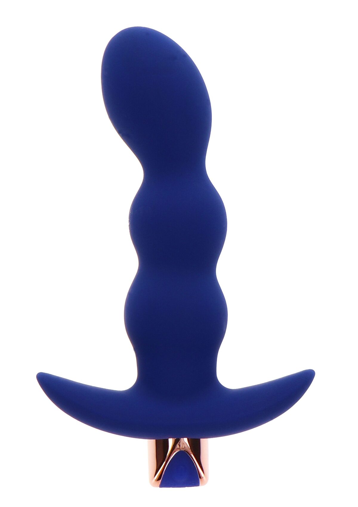 plug vibrant the risque 11 x 32cm 2 scaled