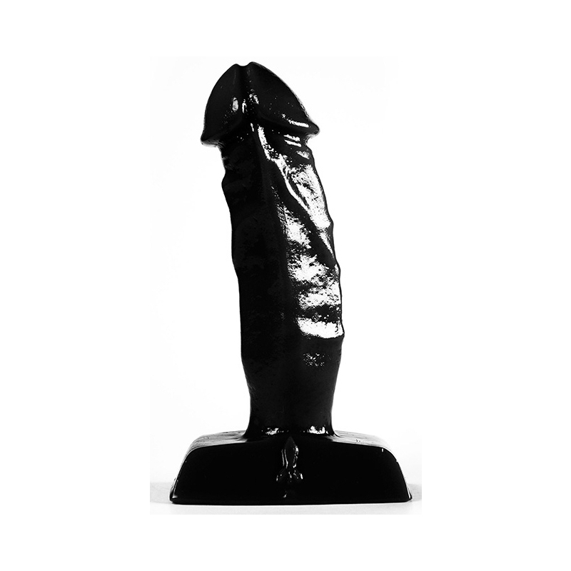 plug-zizi-rider-105-x-3-cm-noir plug zizi rider 105 x 3 cm noir