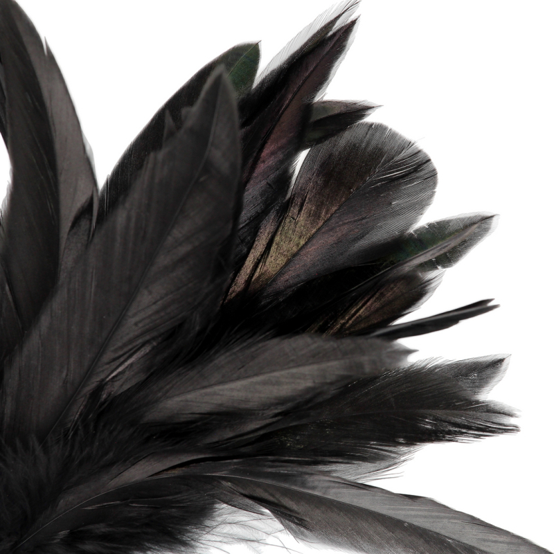 plumeau feather tickler 20cm noir 4